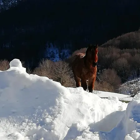Mountain Chalet