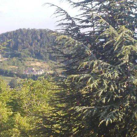Mountain Chalet * Viggiano